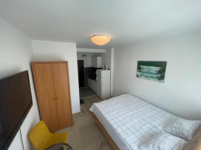 Studio Apartman Centar